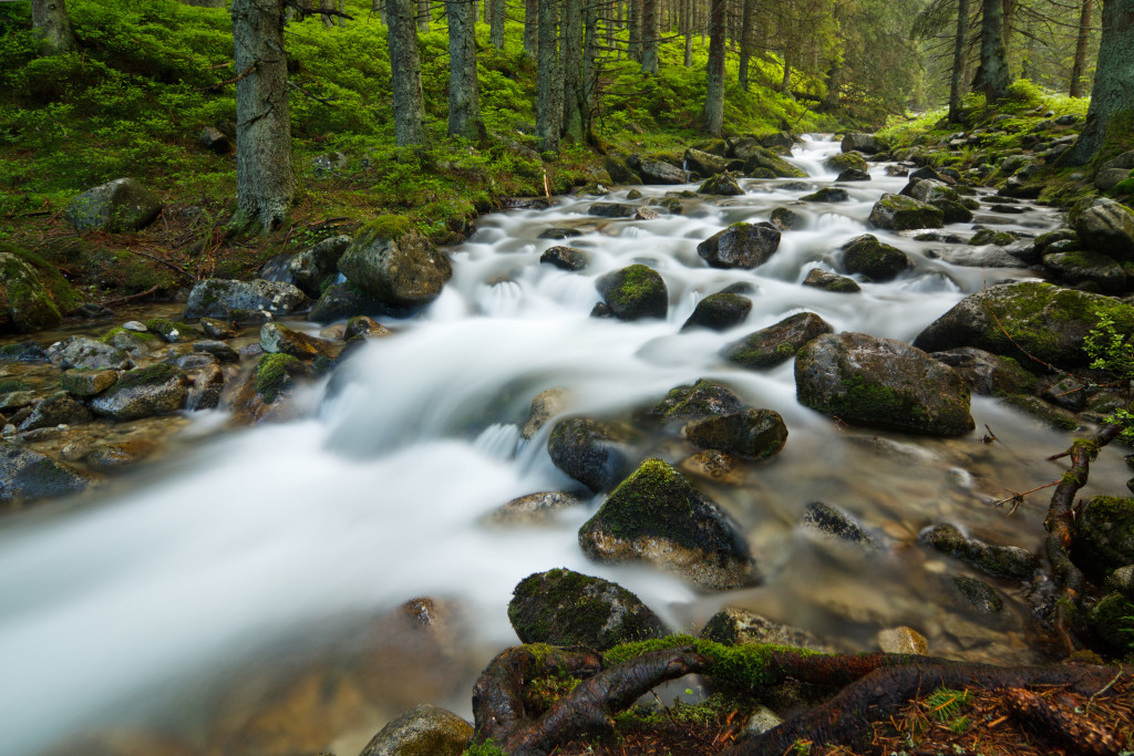 fast flowing stream in Low Tatras, Slovakia